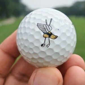 Winged Foot Golf Balls And pencil
